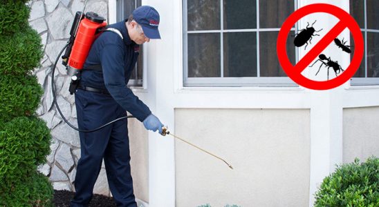Beşiri Böcek İlaçlama böcek ilaçlama ve haşere kontrolü — ilaclama-tr.com